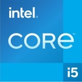 Intel® Core™ i5-12600, Prozessor Tray-Version