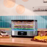 Cecotec VitaDry Pro Dörrautomat edelstahl/transparent, 300 Watt, 5 höhenverstellbare Fächer