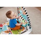 Fisher-Price Kontrast Kick & Play Pianospieldecke, Spielbogen/Decke deutsche Version