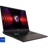 MSI Vector 17 HX A13VIG-673, Gaming-Notebook grau, Intel® Core™ i9-13980HX, NVIDIA GeForce RTX 4090, 32 GB DDR5, 2 TB (2 TB SSD), Windows 11 Home 64-Bit