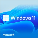 Windows 11 Home, Betriebssystem-Software