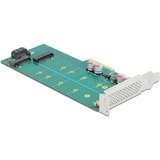 DeLOCK PCI Express x4 Karte zu 1 x M.2 Key B + 1 x NVMe M.2 Key M, Controller 