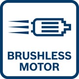 Bosch Professional Akku-Hobel GHO 12V-20 Professional, 12Volt, Elektrohobel blau/schwarz, 2x Li-Ionen Akku 3,0Ah