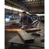 Bosch Winkelschleifer GWS 20-230 P Professional blau, 2.000 Watt