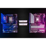 Crucial DIMM 64 GB DDR5-6000 (2x 32 GB) Dual-Kit, Arbeitsspeicher weiß, CP2K32G60C40U5W, PRO OC, INTEL XMP, AMD EXPO