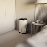 Meaco Dry Arete Two 20L Kompressor-Luftentfeuchter und Luftreiniger weiß/schwarz