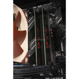 ALTERNATE Gaming-PC Special Edition • RTX 5060 • AMD Ryzen™ 5 5600 • 16 GB RAM schwarz, Windows 11 Home