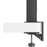 BenQ RD320UA Programmiermonitor, LED-Monitor 80 cm (31.5 Zoll), schwarz, UltraHD/4K, IPS, Ergo Arm Stand, USB-C, USB-Hub