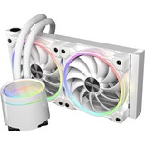 EKL Gletscherwasser 240 White RGB 240mm, Wasserkühlung weiß