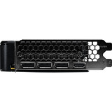 Palit GeForce RTX 5050 Dual 8GB, Grafikkarte DLSS 4, 3x DisplayPort, 1x HDMI 2.1
