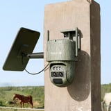  Reolink Trackmix Series G770 mit Solarpanel 2, Überwachungskamera tarnfarben