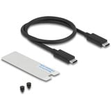 DeLOCK Laufwerksgehäuse M.2 NVMe USB 40 Gbps Gaming Style grau, werkzeugfrei, mit LED und Lüfter
