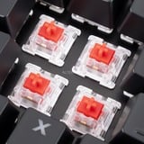 Sharkoon SKILLER SGK40, Gaming-Tastatur schwarz, BE-Layout, Huano Red