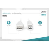 Digitus USB 2.0 Anschlusskabel USB-A (Stecker) > USB-B (Stecker) beige, 1,8 Meter