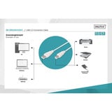 Digitus USB 2.0 Anschlusskabel USB-A (Stecker) > USB-B (Stecker) beige, 1,8 Meter
