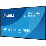 iiyama LH4375UHS-B2AG, Public Display schwarz (matt), UltraHD/4K, IPS, Lautsprecher, Daisy Chain