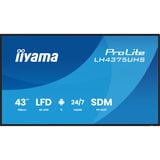 iiyama ProLite LH4375UHS-B2AG, Public Display schwarz (matt), UltraHD/4K, IPS, Lautsprecher, Daisy Chain