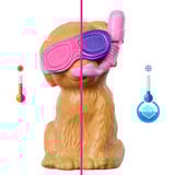 Mattel Barbie Hündchen Pool Party - Aloha Blonde, Puppe 