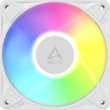 ARCTIC BioniX P12 A-RGB, Gehäuselüfter weiß/weiß, 120 mm