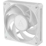 ARCTIC BioniX P12 A-RGB, Gehäuselüfter weiß/weiß, 120 mm