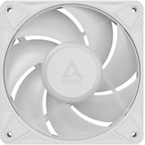 ARCTIC BioniX P12 A-RGB, Gehäuselüfter weiß/weiß, 120 mm