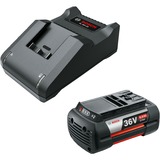 Bosch Heimwerken & Garten Starter-Set 36V (GBA 36V 6.0Ah + AL 36V-20) schwarz, 36V POWER FOR ALL, Akku + Ladegerät