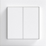 Friends of Hue Smart Switch, Taster
