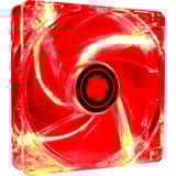 Xilence Performance C LED Series 120x120x25, Gehäuselüfter transparent, 120 mm
