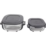 Ninja CRISPi 4-in-1 tragbare Glas-Heißluftfritteuse "Salbei" graugrün/transparent, 1.700 Watt, 2 Körbe 1,4 und 3,8 Liter