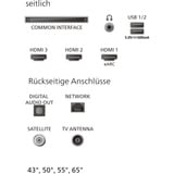 Philips 65PUS7061/12, LED-Fernseher 164 cm (65 Zoll), schwarz, UltraHD/4K, Triple Tuner, Titan OS
