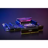 Crucial DIMM 32 GB DDR5-6400 (2x 16 GB) Dual-Kit, Arbeitsspeicher CP2K16G64C38U5B, Pro, INTEL XMP, AMD EXPO