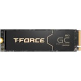 Team Group T-Force GC PRO 4 TB, SSD PCIe 5.0 x4 | M.2 2280 | Graphen-Kühlkörper