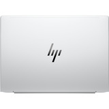 HP EliteBook 8 G1a (AD3E7ET), Notebook silber, AMD Ryzen 5 230, AMD Radeon 760M, 16 GB DDR5, 512 GB (512 GB SSD), Windows 11 Pro