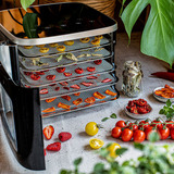 Rommelsbacher Mini Dörrautomat DA 450 edelstahl/schwarz, 450 Watt, Dörrfläche 23,5cm x 18cm pro Ebene