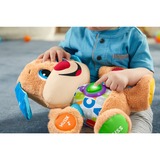 Fisher-Price Lernspaß Hündchen, Kuscheltier mehrfarbig/hellbraun, Baby-Spielzeug mit Musik