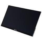 Verbatim PMT-15, LED-Monitor 39.5 cm (15.6 Zoll), schwarz, FullHD, IPS, USB-C, HDR