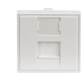 Digitus 45x45 mm Frontplatte für Kabelkanäle, Blende weiß, Mit Beschriftungsfeld 