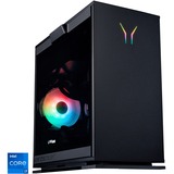 Medion ERAZER Engineer P20 (MD35319), Gaming-PC schwarz/transparent, Windows 11 Home 64-Bit