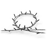 Philips Hue White & Color Ambiance Festavia Lichterkette 20m 