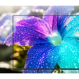 Medion LIFE MD 850602, QLED-Fernseher 125.7 cm (50 Zoll), schwarz, UltraHD/4K, Triple Tuner, VIDAA