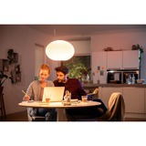 Philips Hue White & Color Ambiance Flourish Pendelleuchte, LED-Leuchte weiß