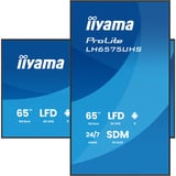 iiyama ProLite LH6575UHS-B2AG, Public Display schwarz (matt), UltraHD/4K, IPS, Lautsprecher, Daisy Chain