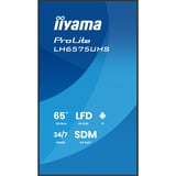 iiyama ProLite LH6575UHS-B2AG, Public Display schwarz (matt), UltraHD/4K, IPS, Lautsprecher, Daisy Chain