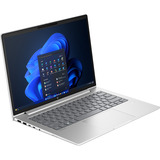 HP ProBook 4 G1a (AD2M7ET), Notebook silber, AMD Ryzen 5 230, AMD Radeon 780M, 16 GB DDR5, 512 GB (512 GB SSD), Windows 11 Pro