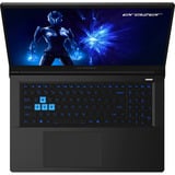 Medion ERAZER Defender 17 P1 (MD62757), Gaming-Notebook schwarz, Intel® Core™ i7-13620H, NVIDIA GeForce RTX 5060, 16 GB DDR5, 1 TB (1 TB SSD), ohne Betriebssystem