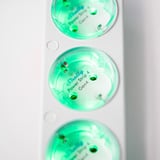 Shelly Steckdosenleiste Power Strip 4 Gen4 weiß, 1,5 Meter Kabel, mit Energiemessung