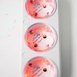 Shelly Steckdosenleiste Power Strip 4 Gen4 weiß, 1,5 Meter Kabel, mit Energiemessung