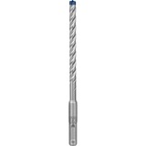 Bosch EXPERT Hammerbohrer SDS-plus-7X, Ø 8mm, 30 Stück Arbeitslänge 100mm