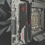 Patriot DIMM 48 GB DDR5-6000 (2x 24 GB) Dual-Kit, Arbeitsspeicher schwarz, PVVR548G600C30K, Viper Venom RGB, INTEL XMP, AMD EXPO