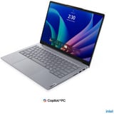 Lenovo ThinkBook 14 (21UX005PGE), Notebook grau, Intel® Core™ Ultra 5 325, Intel® Graphics, 32 GB DDR5, 512 GB (512 GB SSD), Windows 11 Pro